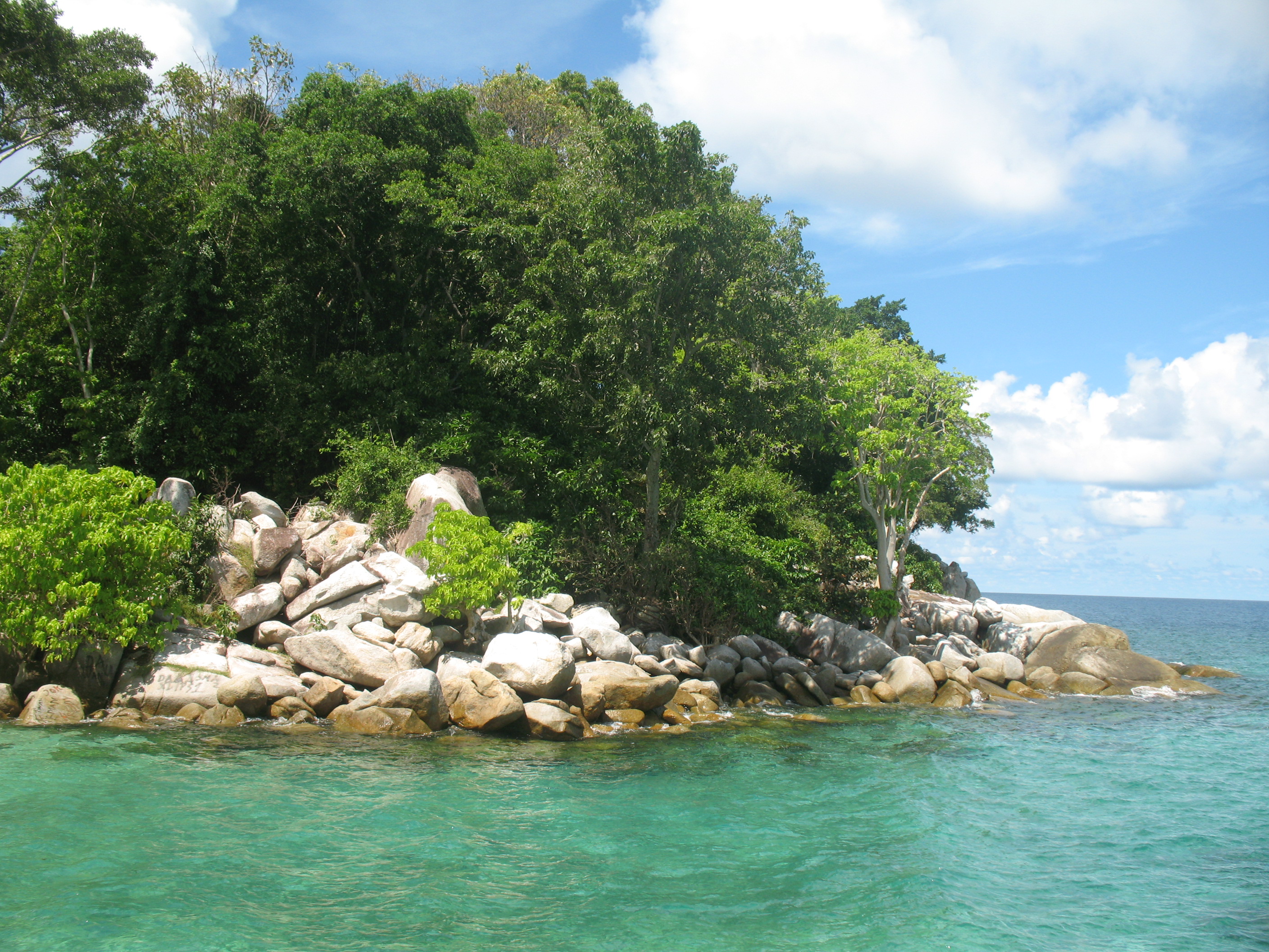 Indonesia Birdwatching Trip